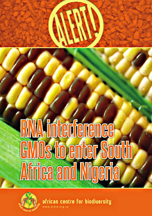 RNA Interference GMOs to enter South Africa and Nigeria
